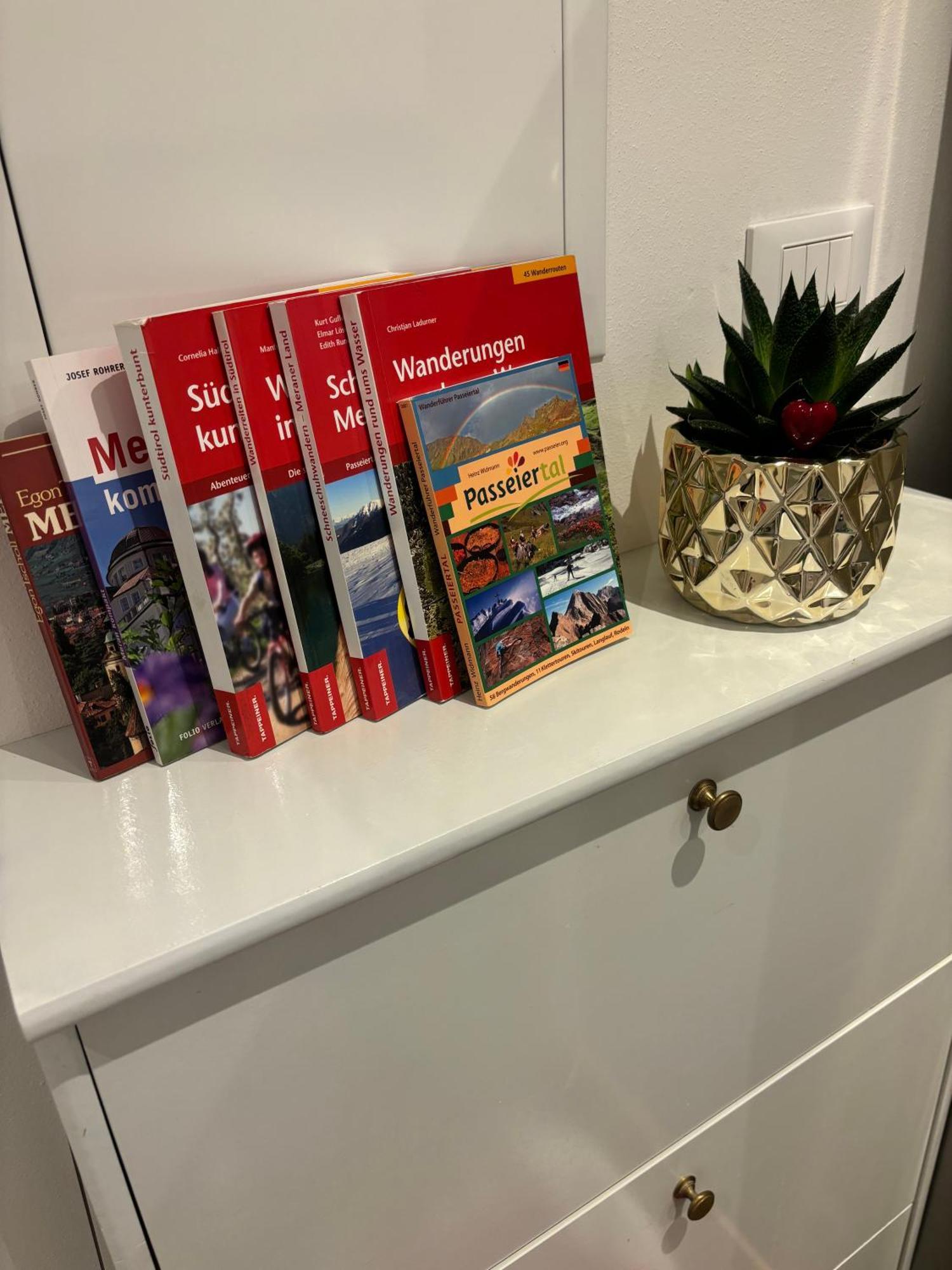 Apartment Oberprisch サン・レオナルド・イン・パッシーリア エクステリア 写真